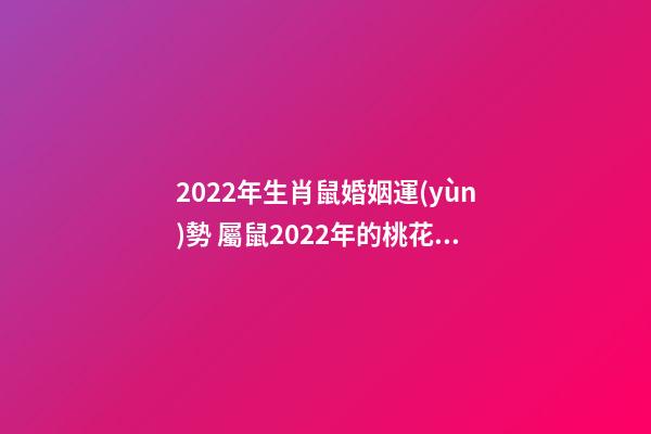 2022年生肖鼠婚姻運(yùn)勢 屬鼠2022年的桃花運(yùn)-第1張-觀點(diǎn)-玄機(jī)派